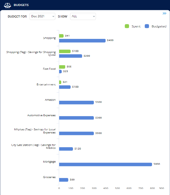 Budgeting Demo MoneyPatrol