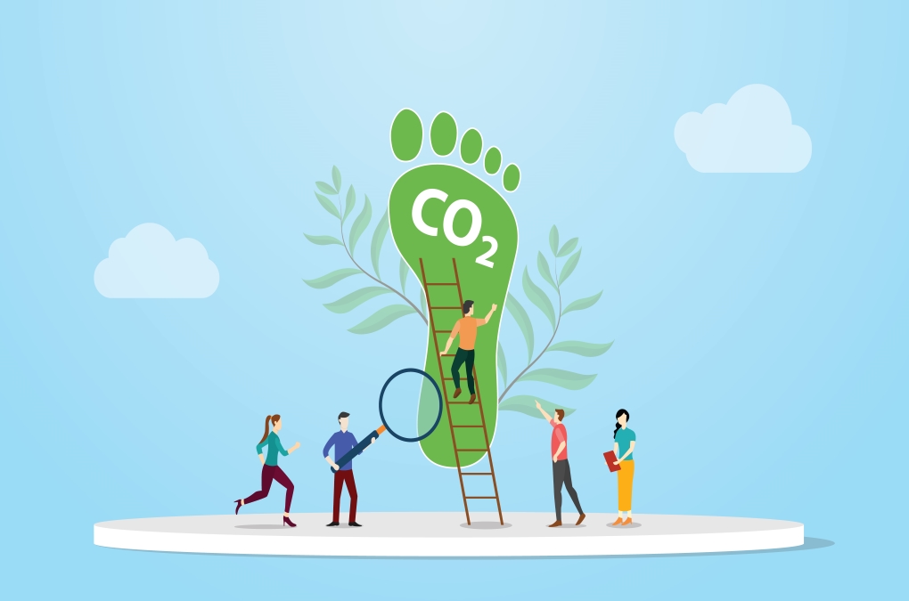 Carbon footprint