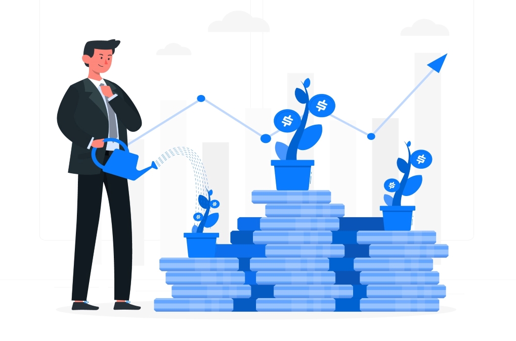 Investment and Asset formation