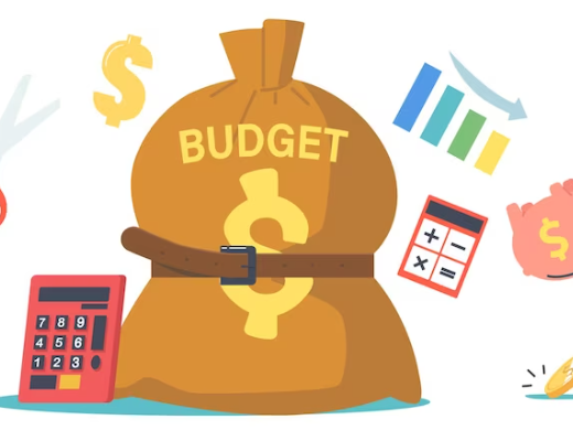 budget planning software