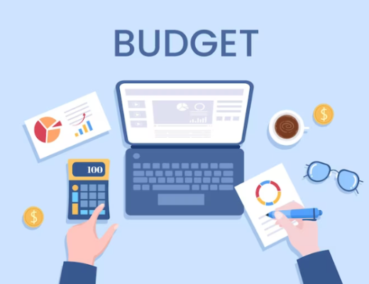 adaptive budget software