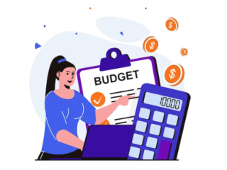 budgeting and reporting software