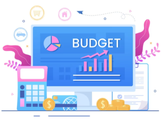 budget analyst software