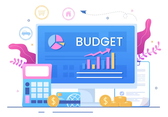 budget analyst software